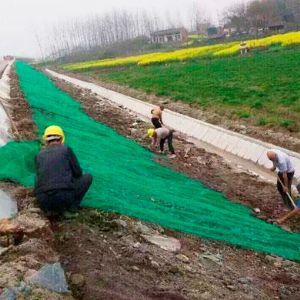 三維植被網(wǎng)護坡施工現(xiàn)場